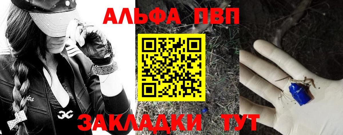 Альфа ПВП СК Бахчисарай