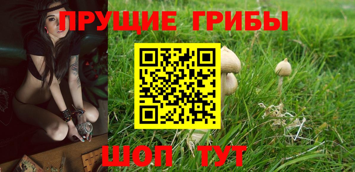 Галлюциногенные грибы мухоморы Бахчисарай